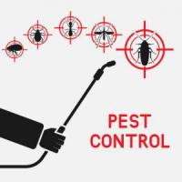 pest control