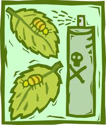 pest control